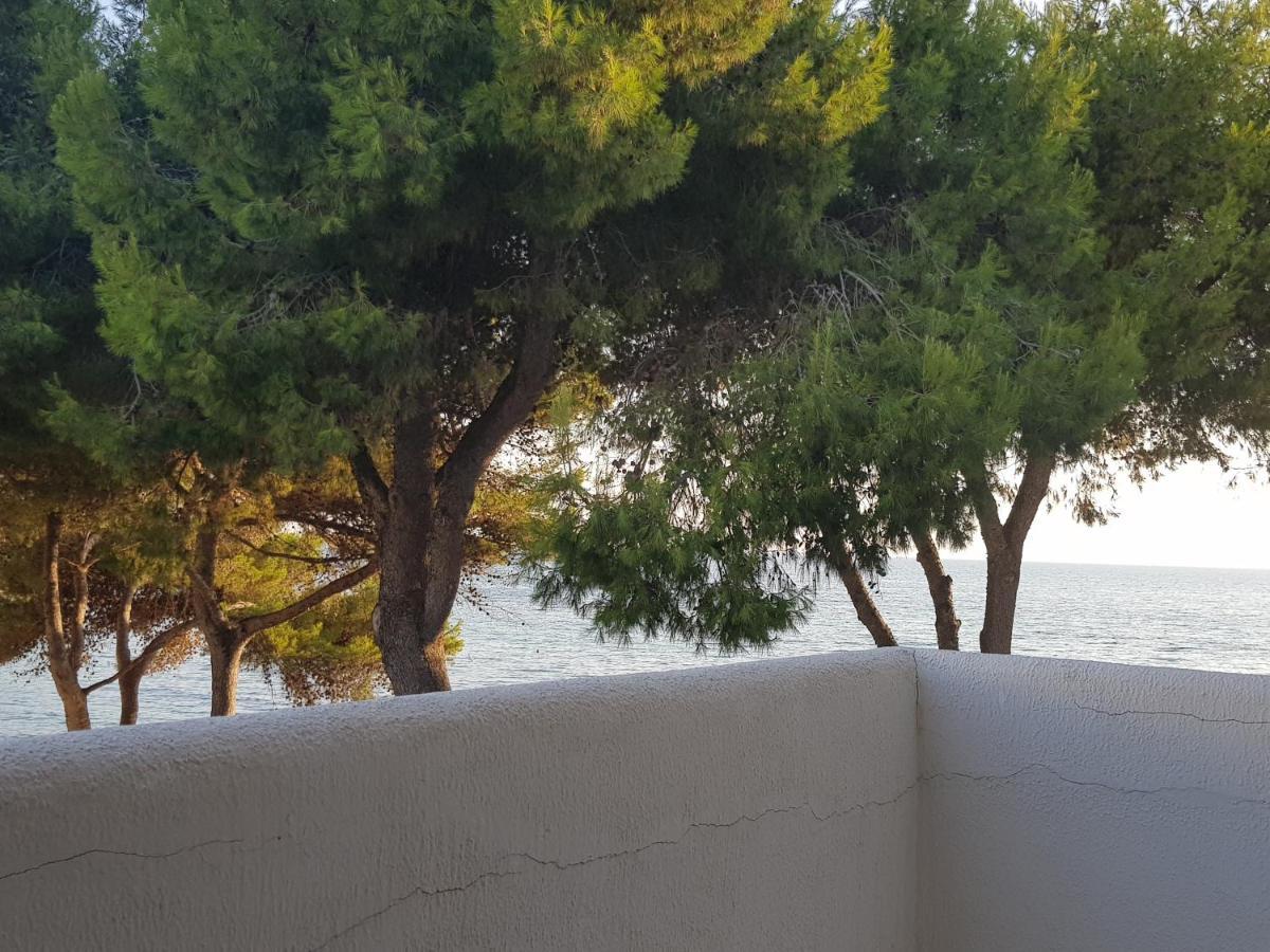Appartamento La Caletta 갈리폴리 외부 사진